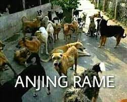 Gambar anjing galau paling bagus download now media tweets by anjing. Fakestagram Blackvelvet Cartoon Jokes Memes Funny Faces Drama Memes