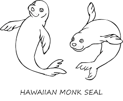 Printable polar bear and a seal coloring page. Monk Seal Coloring Page Animals Town Animals Color Sheet Monk Seal Free Printable Coloring Pages Animals