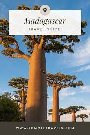Madagascar Travel Guide Planning A Trip To Madagascar Epic Guide Pommie Travels In 2021 Madagascar Travel Trip Travel Guide