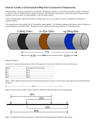 How To Create A Chromosome Map