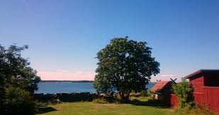 Förra årets deltagare i det traditionella badortsdoppet. Hogsommarvarme Sol Och Bad I Oregrund Oregrundarbloggen Varje Dag 365