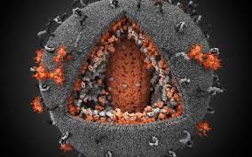 نتیجه جستجوی لغت [infect] در گوگل