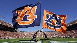 Find fierce and baby tiger pictures in this broad collection and download them for free. Best 48 Auburn Wallpaper On Hipwallpaper Auburn Football Wallpaper Auburn Wallpaper And Auburn Tigers Wallpaper