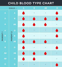 child blood type calculator blood type chart blood groups