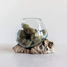 Atu ingin tau model aquarium sederhana? Akuarium Ikan Cupang Size L Aquascape Aquarium Kayu Glasswood Potkacatiup Shopee Indonesia