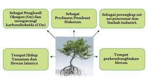Kunci jawaban tema 1 kelas 3 hal 175. Jawaban Soal Buku Paket Kelas 3 Sd Tema 1 Halaman 175 176 178 Subtema 4 Pembelajaran 5 Tribun Pontianak