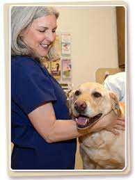 Maybe you would like to learn more about one of these? Crossroads Animal Clinic Arlington Tx Veterinarian Arlington Animal Clinic
