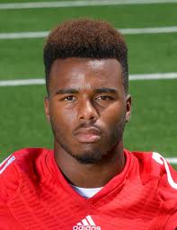 Calabasas' Tristan Gebbia leads 2016 Daily News All-Area Football Team