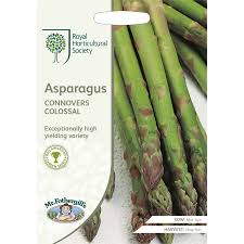 These vigorous varieties give a solid. 5 X Delicious Asparagus Connover S Colossal Grow Your Own Free Uk Postage