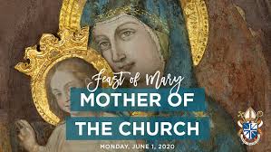 Welcome to the official mary kay page. Feast Of The Blessed Virgin Mary Mother Of The Church Diocese Of Lansing