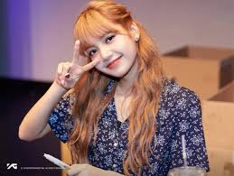 Lisa Blackpink Gadis Korea Selebritas Wanita