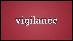 Vigilance Meaning Youtube
