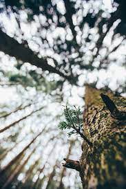 Pin By Dana Alexy On Art Nature Photography Landscape Photography Tumblr Photography