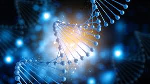 Dna is a long polymer made from repeating units called nucleotides, each of which is usually symbolized by a single letter: 7 Fakta Unik Dna Manusia Dan Kol Juga Punya Kemiripan Lho