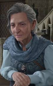 Happy New Year 2025 to all Hogwarts Legacy fans, hope we have some good  news for our game this year.