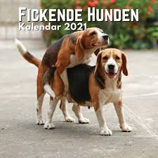 Eine woche später schließt ungarn die lager. Fickende Hunden Kalender 2021 Kalender 2021 Hunde Lustig Geschenk Fur Hundeliebhaber Frauen Manner German Edition Shanami Herg 9798565101546 Amazon Com Books