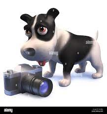 3D-Bild von einem Cartoon Welpe Hund Charakter in 3D mit einer Kamera auf  der Suche gemacht Stockfotografie - Alamy