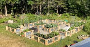 Erin huffstetler is a writer with experience writing about easy ways to save money at home. Victory Garden Revival The Sunriseguide