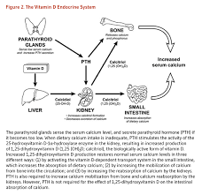 Pin On Migraine