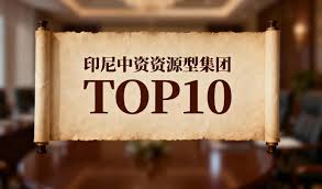 印尼中资资源型集团前10：谁在重塑新版图？ – 印尼王掌柜