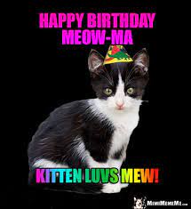 Kitten In Party Hat Says Happy Birthday Meow Ma Kitten Luvs Mew Cat Jokes Funny Cat Jokes Funny Cat Memes