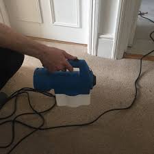 Serving dover, nh & surrounding area. Adept Pest Control Lambeth Quality Pest Control Service In The Area Of Lambeth