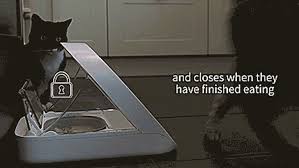 Миски pet feeder миска силиконовая складная для собак и кошек. Microchip Smart Pet Feeder Awesome Stuff 365 Pet Feeder Your Pet Pets