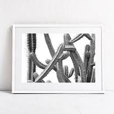 Black And White Cactus Print Black And White Print Photography Download Cacti Print Plant Print Cacti Art Large Wall Art Printable Art Horizontal Wall Art Photo Print Photo Wall Art Horizontal Wall Art Printable Art