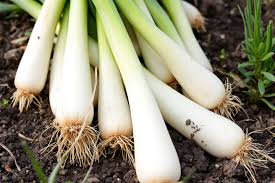 Lola alphy порно she happens to be a stunning blond lady