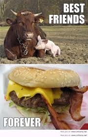 A great place to get porked. 27 Very Funny Pig Pictures