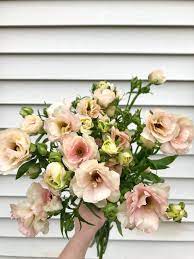 Blush Butterfly Ranunculus Blush Wedding Spring Flower Arrangements Pretty Flowers Flowers Bouquet