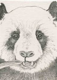 Een moeilijke kleurplaat is extra leuk om te dieren kleurplaat moeilijk kleurplaten apen. Dieren Tekenen Google Zoeken Panda Tekening Dieren Tekenen Tekenen