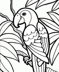 30 Great Photo Of Parrot Coloring Pages Albanysinsanity Com In 2020 Jungle Coloring Pages Bird Coloring Pages Easy Coloring Pages