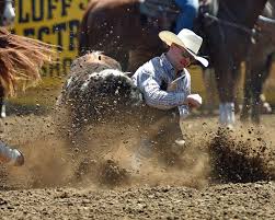 Number (required) is the value you want to round up. Results From Round 2 Of Round Up Slack Red Bluff Daily News