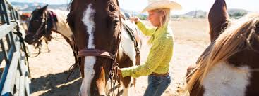 Explore old town, the embarcadero and north morro bay for intriguing, distinct experiences. Horseback Riding In San Luis Obispo Beaches Trails Ranches