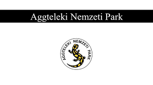Jun 18, 2021 · (fotó: Aggteleki Nemzeti Park Ppt Letolteni