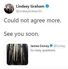 We would like to show you a description here but the site won't allow us. Lindsey Graham S Response To James Comey Tweet Mueller Report Know Your Meme