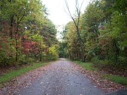 Man lives in woods while hiding 10 years to avoid “controlling” wife