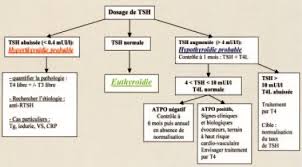 Il faut surveiller la thyréostimuline pour voir si une hypothyroïdie apparaît dans le temps. Exploration Biologique De La Thyroide Sciencedirect