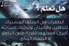 هل تعلم الطفرات في السلف المشترك للدلافين والحيتان وثدي يات حيتاني ة أخرى أفقتدهم القدرة على التذوق إلا الطعم المالح Science Facts Science Facts