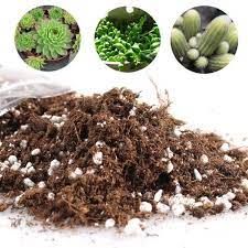 Nothing for sale at all! Yovvin Cactus Succulent Plant Soil Mix Home Garden Potting Soil Growing Cacti Water Saving Coco Coir Buy Online In Mongolia At Mongolia Desertcart Com Productid 65144935