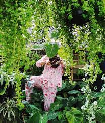 082143714389atau bisa juga dengan cara klik lin. Ini Dia 8 Toko Tanaman Lokal Untuk Pecinta Tanaman Hias