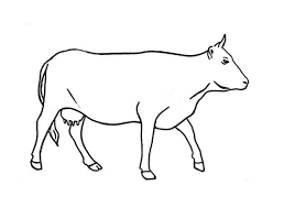 You can learn how to draw a dog, easy to draw a cat…a lot of different drawing styles such as cute animal drawings, cool animal drawings, cartoon animal drawings…. Easy Animals 2 Draw My Wordpress Blog