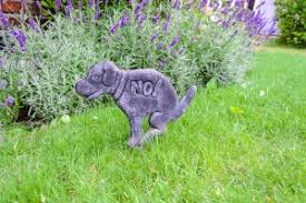 We did not find results for: How To Dispose Of Dog Poop Properly Mad Paws Blog