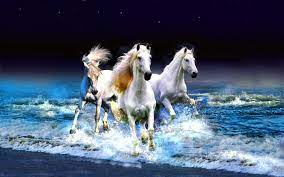 Vastu horses 7 lucky running horse wallpaper photo paper poster full hd without frame for living room bedroom office kids room hall home decor 13x19 photographic paper animals posters in india buy art film. Wallpaper Hd Horse 7 Nonfatalistic Bagram Site