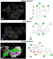 Image result for Phyllanthus mendoncae