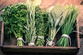 Variety is the spice of life, but spice is the basis for variety in our daily meals. How To Grow Herbs Thompson Morgan