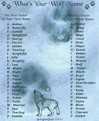 What Is Your Wolf Name Mine Is Magik Flirt Con Immagini Immagini Divertenti Foto Divertenti Cose Divertenti