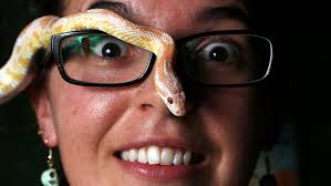 Big Al's bland look all in the breeding