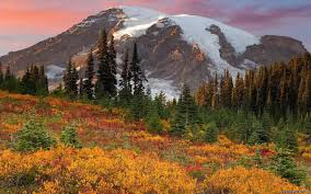 Toamna vreau de wallpaper stoc. Imagini Desktop Wallpapers Culori De Toamna In Munti Munti Natura Album Foto Ssmexpert Md Securitatea Protectia Muncii In Moldova